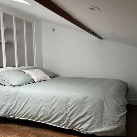 Appartement Refait A Neuf A Proximite Du Centre Ville Тулуза Екстер'єр фото